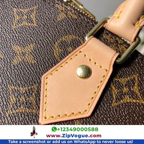 Louis Vuitton Alma - Image 3