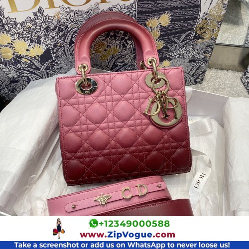 Dior Lady Dior 20cm Small