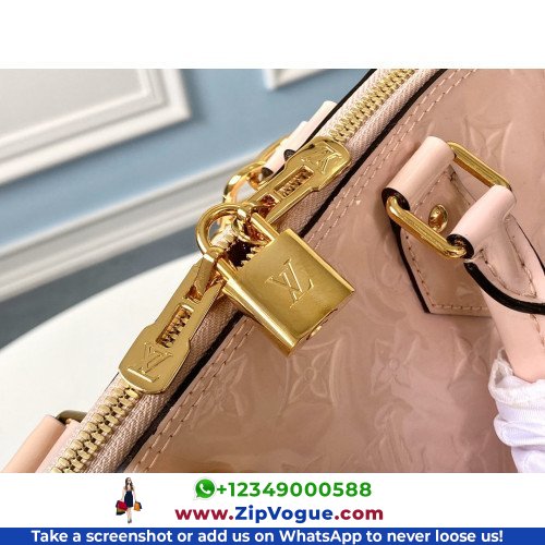 Louis Vuitton Alma - Image 6