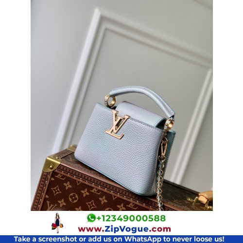 Louis Vuitton Capucines