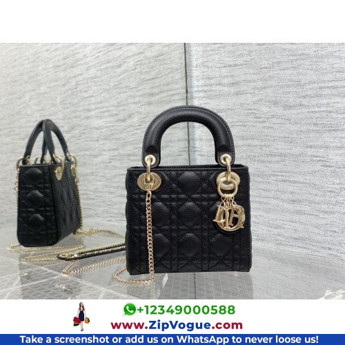 Dior Lady Dior 17cm Mini