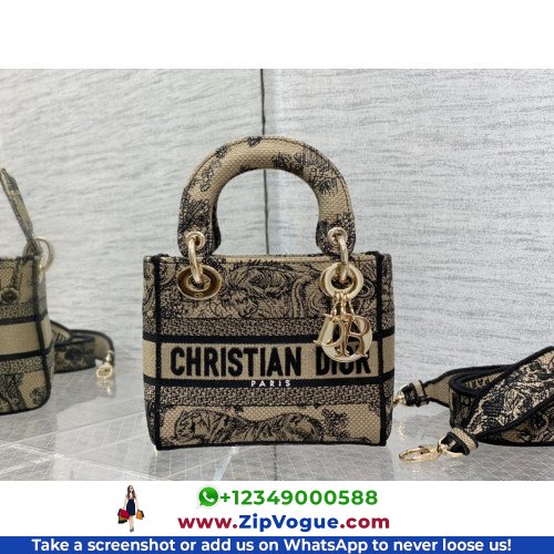 Dior Lady Dior 17cm Mini
