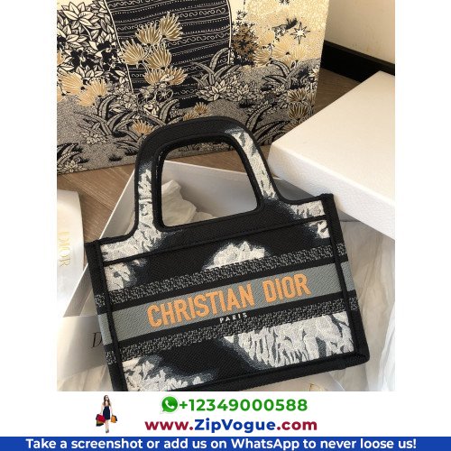 Dior Book Tote Mini 22.5cm