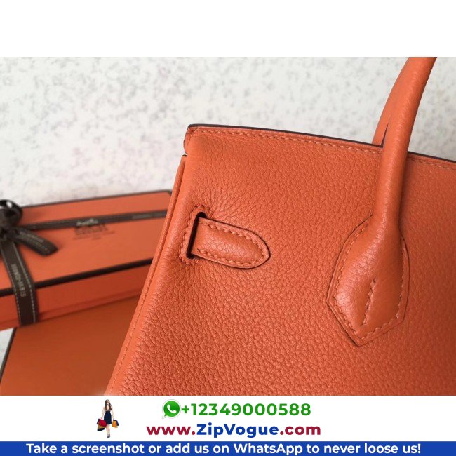 Hermes Orange Clemence Birkin 25cm Lushentic AAAAA Grade Replica - Image 2