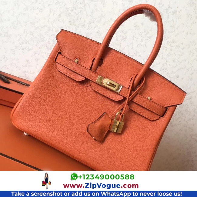 Hermes Orange Clemence Birkin 25cm Lushentic AAAAA Grade Replica - Image 4