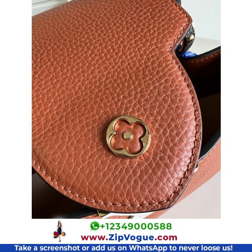 Louis Vuitton Capucines - Image 7