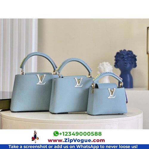 Louis Vuitton Capucines