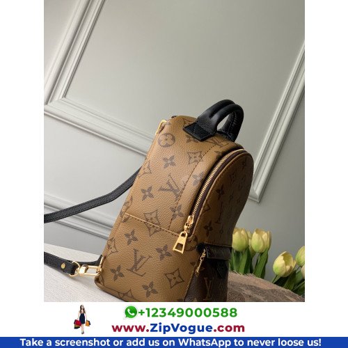 Louis Vuitton Backpack