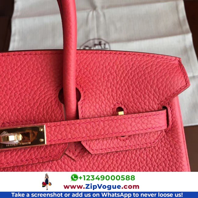 Hermes Bougainvillier Clemence Birkin 25cm Lushentic AAAAA Grade Replica - Image 7