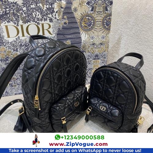 Dior Backpack - Image 11