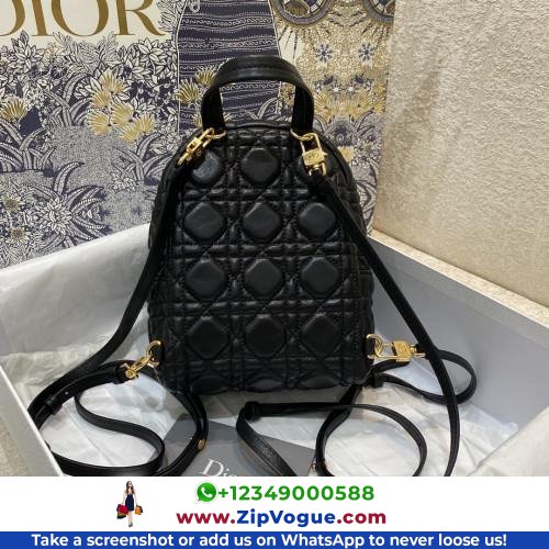 Dior Backpack - Image 3