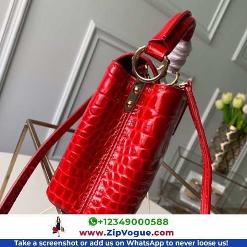 Louis Vuitton Capucines - Image 7