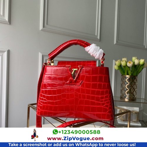 Louis Vuitton Capucines