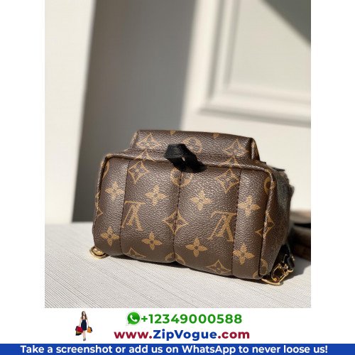 Louis Vuitton Backpack - Image 2