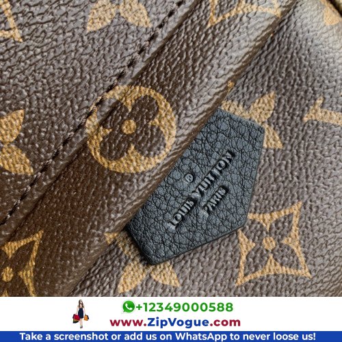 Louis Vuitton Backpack - Image 4