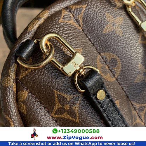 Louis Vuitton Backpack - Image 7