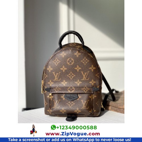 Louis Vuitton Backpack