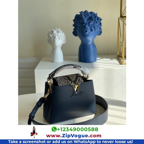 Louis Vuitton Capucines