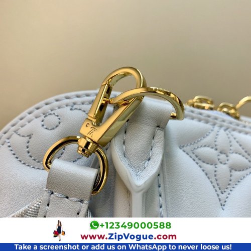 Louis Vuitton Alma - Image 6