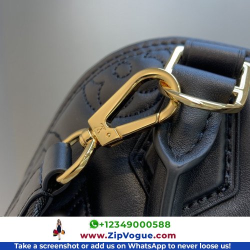 Louis Vuitton Alma - Image 7