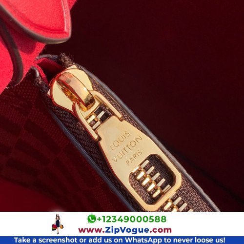 Louis Vuitton Neone - Image 9