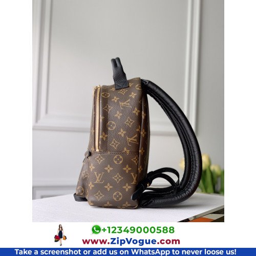 Louis Vuitton Backpack - Image 2