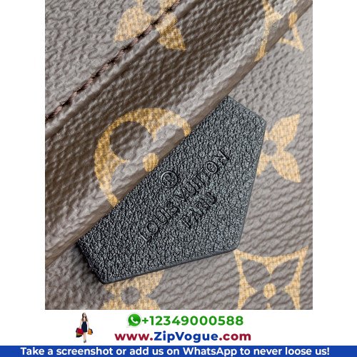 Louis Vuitton Backpack - Image 3