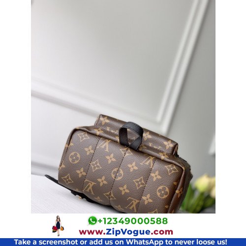 Louis Vuitton Backpack - Image 6
