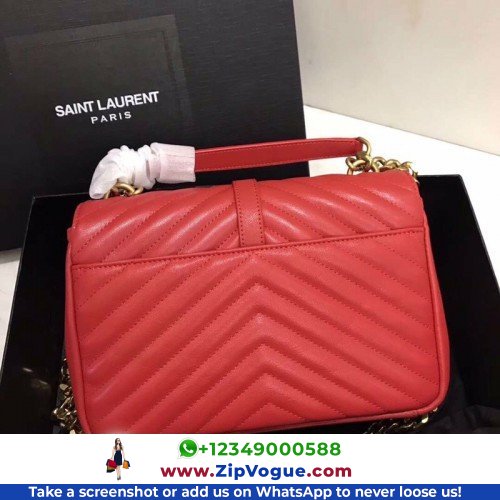 YSL College - Image 5